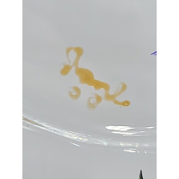 Art Glass Serving Dish Plate Signed Reverse Hand Painted Flowers Floral 9" - Picture 3 of 11